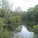 わが大学の一風景