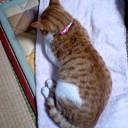 ガリクソンという名前が