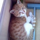 　隅っこが好き（♪）