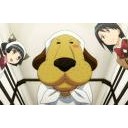 ポカポカ