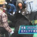 怖かった～