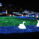 東京ドイツ村　ウインターイルミネーション　2009-2010