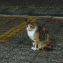 11月18日の日記