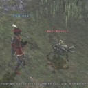 ＮＭと戯れよう