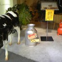 冬眠