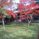 京都～若沖ワンダーランド～大阪
