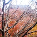 紅葉路