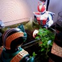 仲良くケンカ