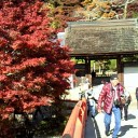 室生寺詣で