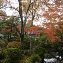京都　３