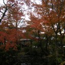 京都　４