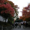 京都　５