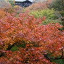 京都　５