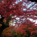 京都　6