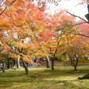 京都　7