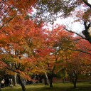 京都　7