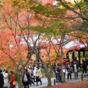 京都　8