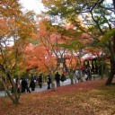 京都　8