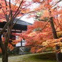 京都　8