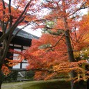 京都　9