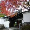 京都　最後