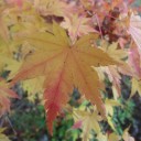 とある休日の１日・その②