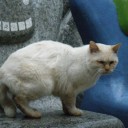 小旅行)つるつる温泉