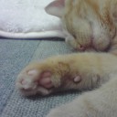ラ～ラララ～♪