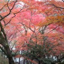 清水さんから八坂さんへ・・・