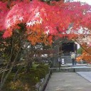 紅葉路ー２