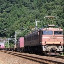 富山の老兵