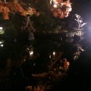 紅葉　ライトアップ