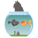 良く分からん