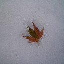 12月2日の日記