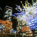 我が家のＰＣＮランキング２００９年１１月と１２月予定