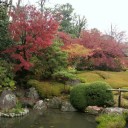12月5日の日記