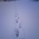 何にも無かった。