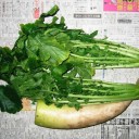 人形は顔が命、大根は葉っぱが命です　“２００９　初恋”　の巻