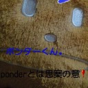 ポンダー
