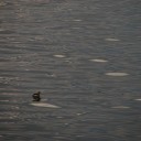 水曜〓雪と寒さと〓