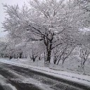 雪！