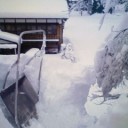 雪下ろし。