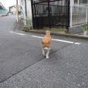 エニアグラム