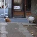 エニアグラム