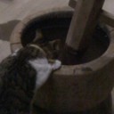 今年もこの季節・・・