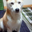 あけましておめでとうございます