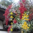 明けちゃいました