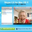 WiiでSkype