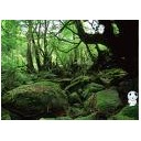 もののけ・・・・・ひめ・・・