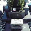 今年もよろしく